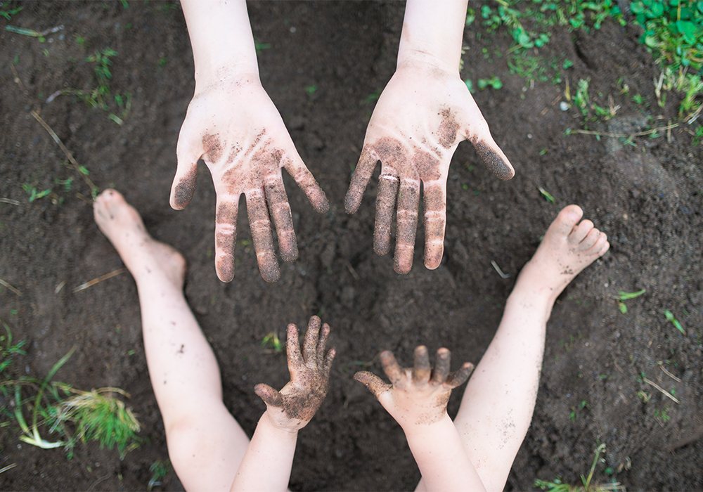 ¿Cómo podemos reforzar el sistema inmune?