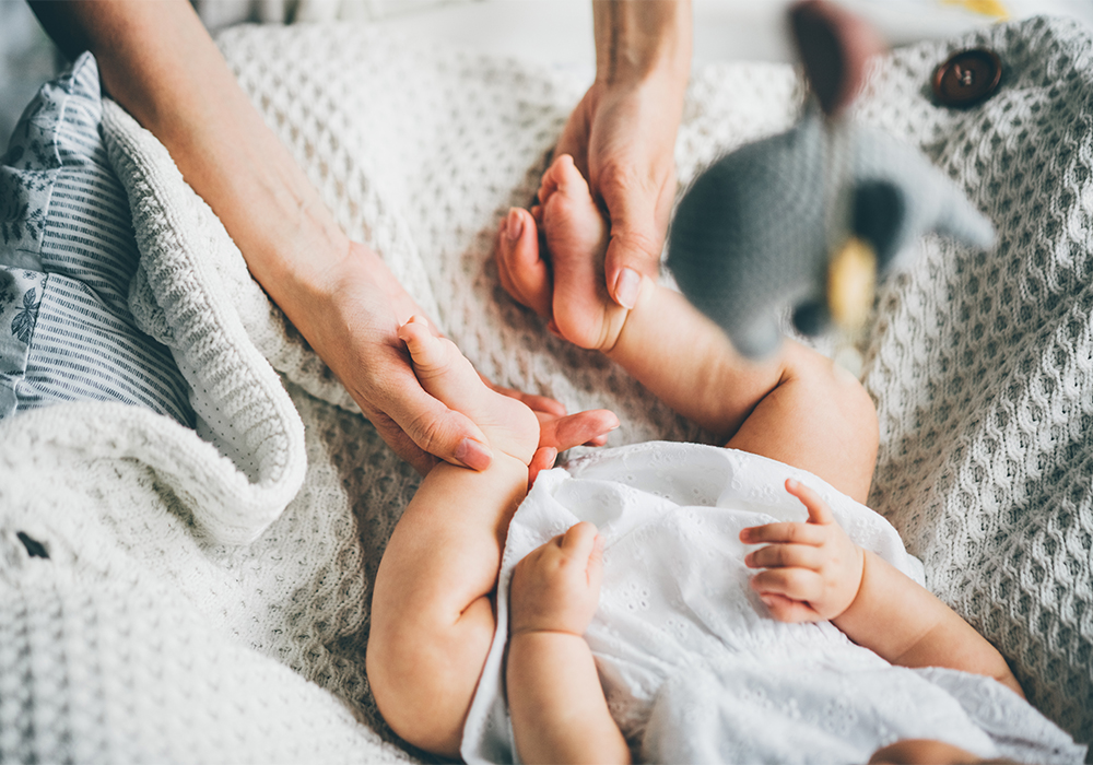 ¿Qué son los probióticos?